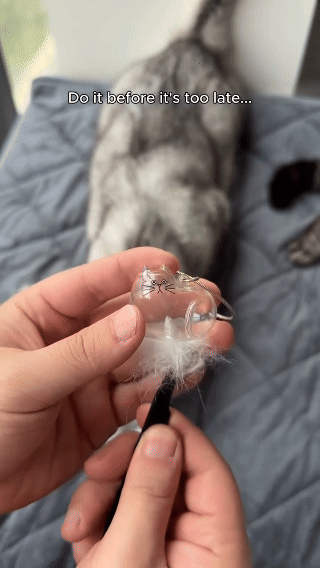 🐾 Pet Hair Storage Keychain 🐾