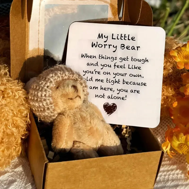 🎁Handmade Mini Plush Teddy Bear in Box