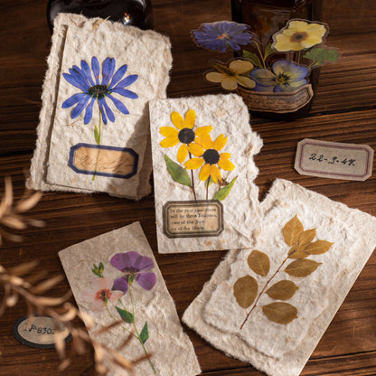 🌸 Aesthetic Transparent Dried Flower Bookmark