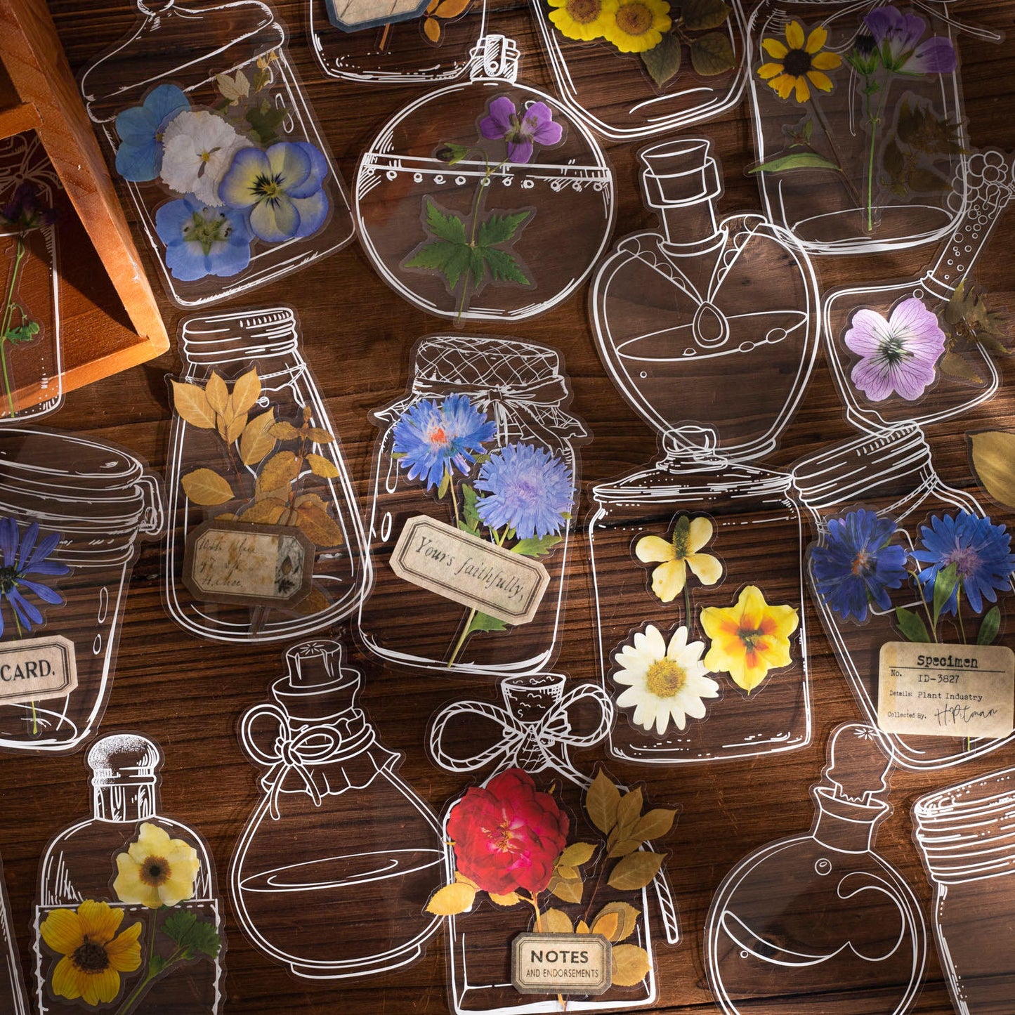 🌸 Aesthetic Transparent Dried Flower Bookmark
