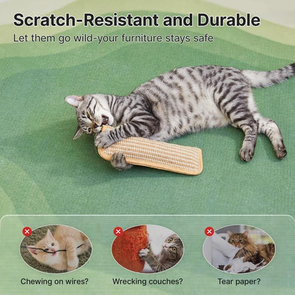 🔥🐱Interactive Catnip Chew Toy