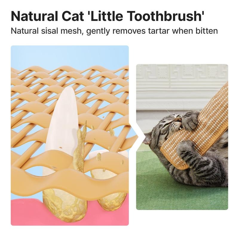 🔥🐱Interactive Catnip Chew Toy