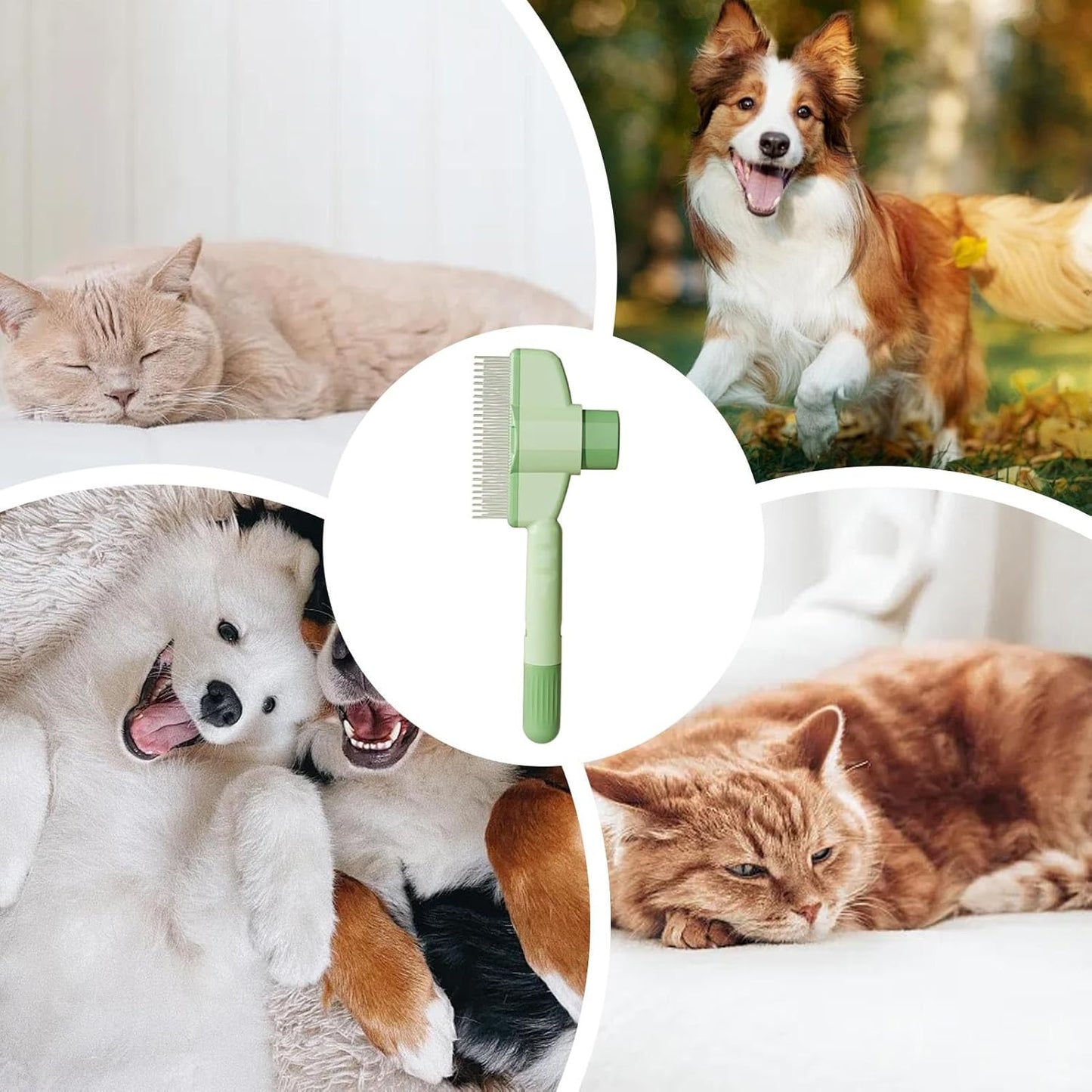 Pet Grooming Comb Brush✨